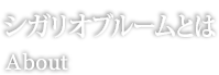 シガリオブルームとは About